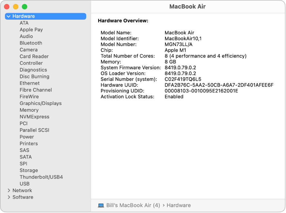 La sección de Vista rápida de hardware de un reporte del sistema.