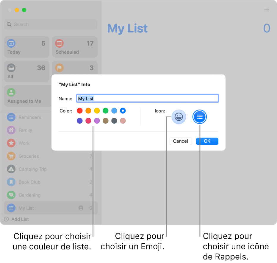 La zone de dialogue Infos pour une liste de Rappels, affichant les échantillons de couleurs et les boutons dʼicônes.