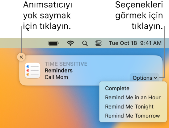 Tamamlandı ve Daha Sonra düğmelerini gösteren anımsatıcı bildirimi.
