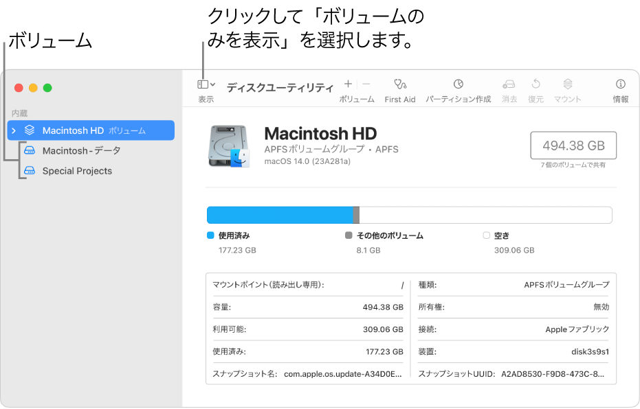 「ボリュームのみを表示」の「ディスクユーティリティ」ウインドウ。