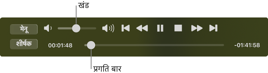 शीर्ष-बाएँ क्षेत्र में वॉल्यूम स्लाइडर और नीचे टाइमलाइन के साथ, DVD प्लेयर के प्लेबैक नियंत्रण। फ़िल्म में किसी भिन्न स्थान पर जाने के लिए प्रगति हैंडल को टाइमलाइन में ड्रैग करें।