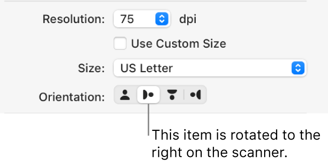 The Orientation buttons in the Scanner window. A highlighted button indicates that an item is rotated to the right on the scanner.