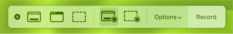 Screenshot tools with the Record button on the right and the Options pop-up menu next to it.