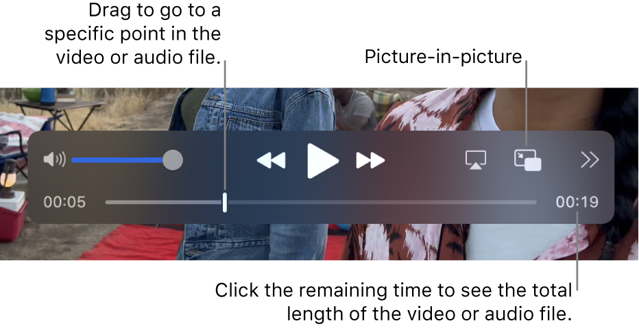 The QuickTime Player playback controls. Along the top are the volume control, the Rewind button, Play/Pause button, Fast-Forward button, Choose a Display button, Picture-in-Picture button, and the Share and Playback Speed button. At the bottom is the playhead, which you can drag to go to a specific point in the file. The time remaining in the file appears at the bottom right.