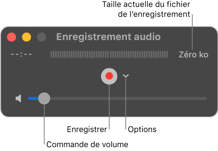 La fenêtre d’enregistrement audio avec le bouton Enregistrer et le menu local Options au centre de la fenêtre, et le contrôle du volume en bas.