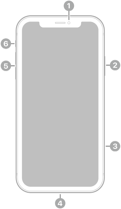 The front view of iPhone 11. The front camera is at the top center. On the right side, from top to bottom, are the side button and the SIM tray. The Lightning connector is on the bottom. On the left side, from bottom to top, are the volume buttons and the ring/silent switch.