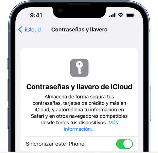 La pantalla Contraseñas y llavero de iCloud, con una opción para sincronizar el iPhone.