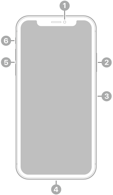 El frente del iPhone XS. La cámara frontal está en la parte superior central. En el lateral derecho, de arriba a abajo, se encuentran el botón lateral y la bandeja de la tarjeta SIM. El conector Lightning está en la parte inferior. En el lateral izquierdo, de abajo a arriba, se encuentran los botones de volumen y el interruptor de tono/silencio.