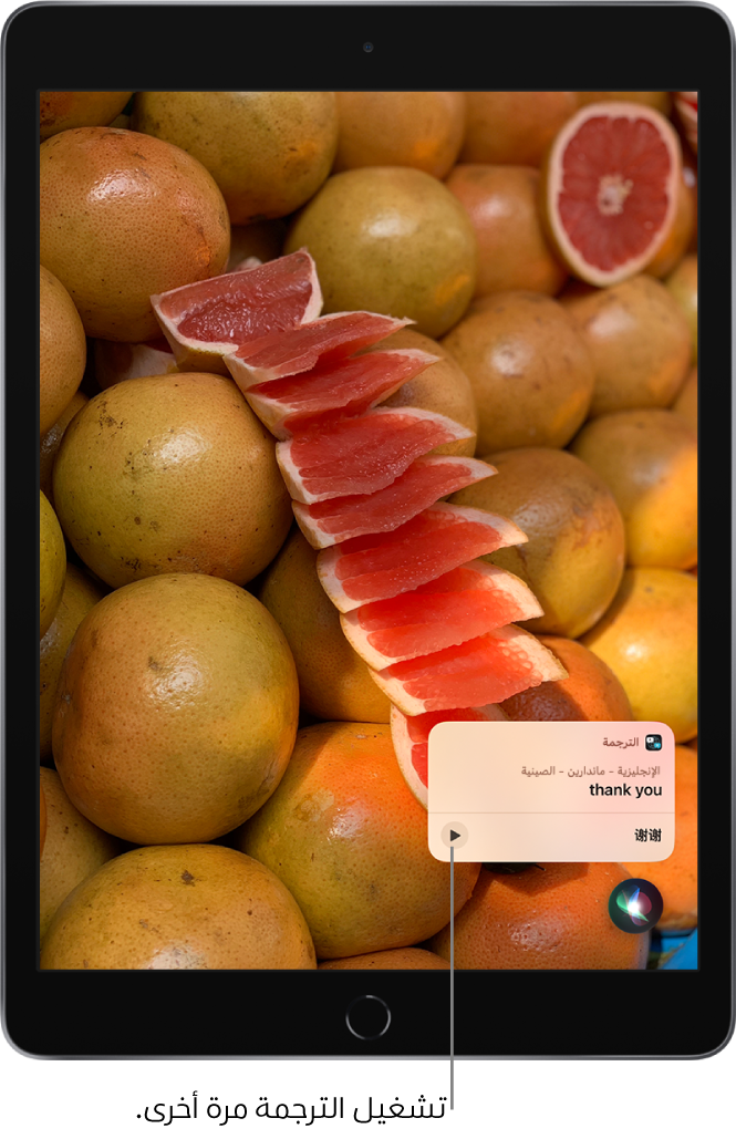 يعرض Siri ترجمة العبارة العربية "شكرًا لك" بالإنجليزية. يوجد زر على يسار الترجمة يعيد تشغيل صوت الترجمة.