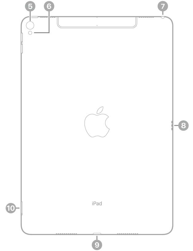 The back view of iPad Pro with callouts to the rear camera and flash at the top left, the headphone jack at the top right, the Smart Connector on the right, the Lightning connector at the bottom center, and the SIM tray (Wi-Fi + Cellular) at the bottom left.