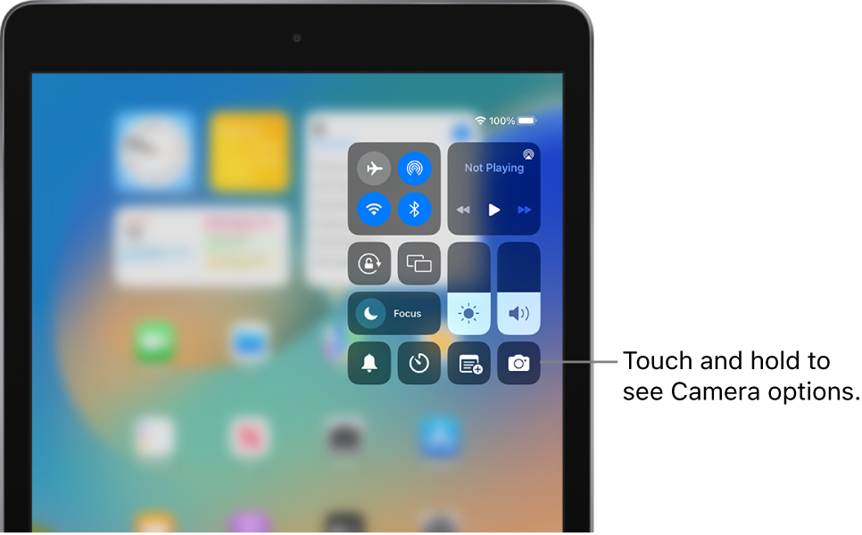 Controls for airplane mode, cellular data, Wi-Fi, and Bluetooth in the top-left group in Control Center for Wi-Fi + Cellular iPad models. The Camera control is at the bottom right.