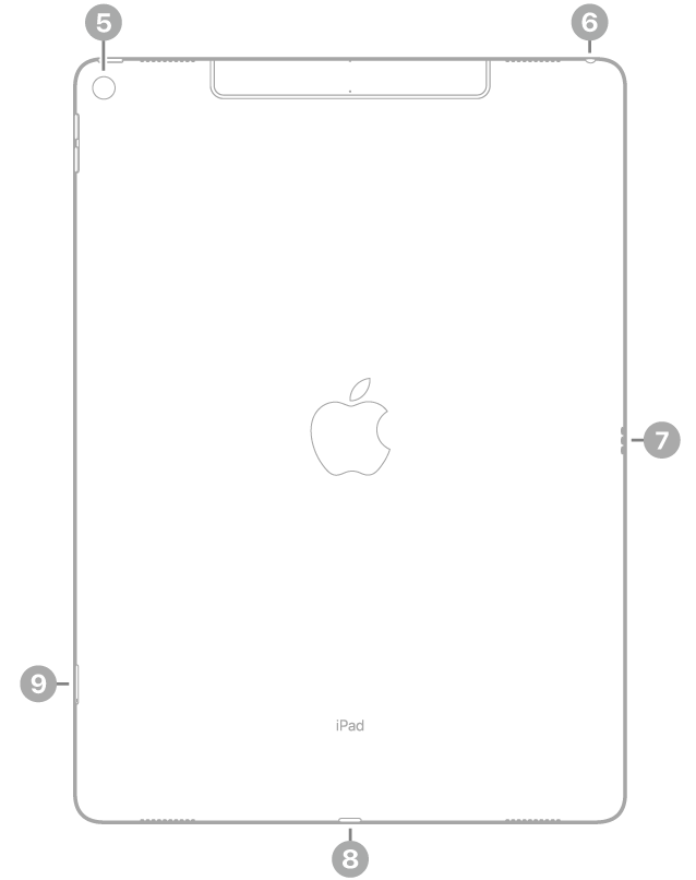 The back view of iPad Pro with callouts to the rear camera at the top left, the headphone jack at the top right, the Smart Connector on the right, the Lightning connector at the bottom center, and the SIM tray (Wi-Fi + Cellular) at the bottom left.