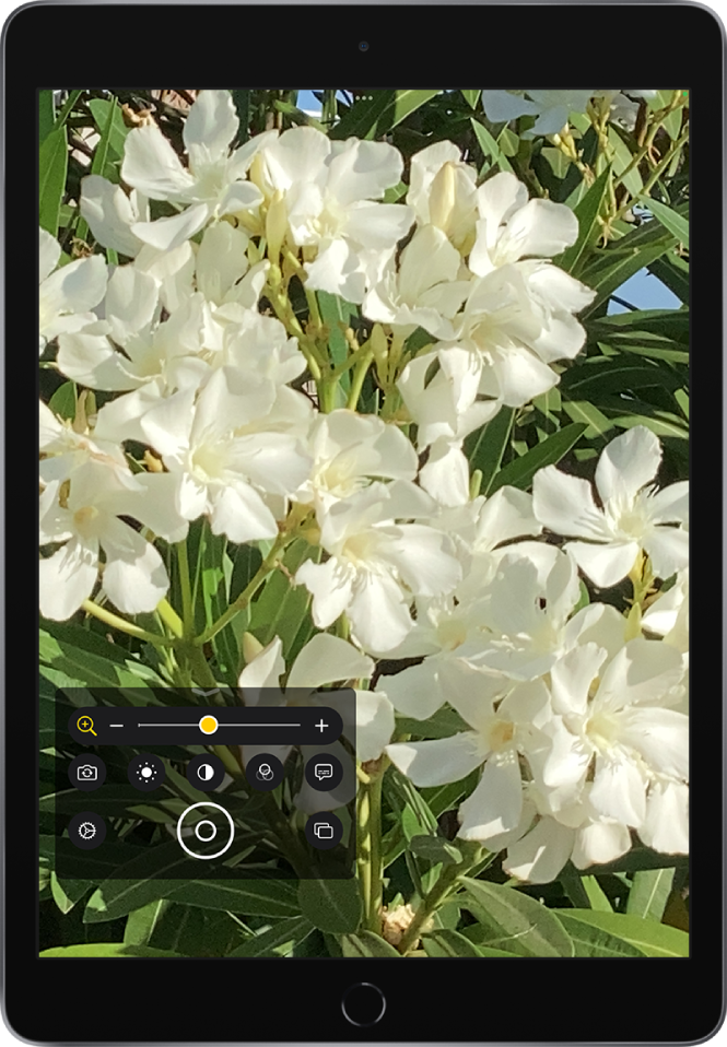L’écran de la loupe affichant des fleurs en gros plan.