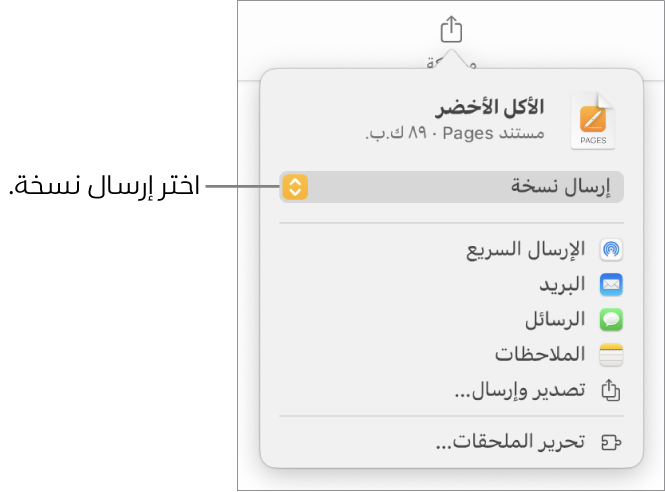 القائمة مشاركة حيث يظهر بها الخيار إرسال نسخة محددًا في الجزء العلوي.