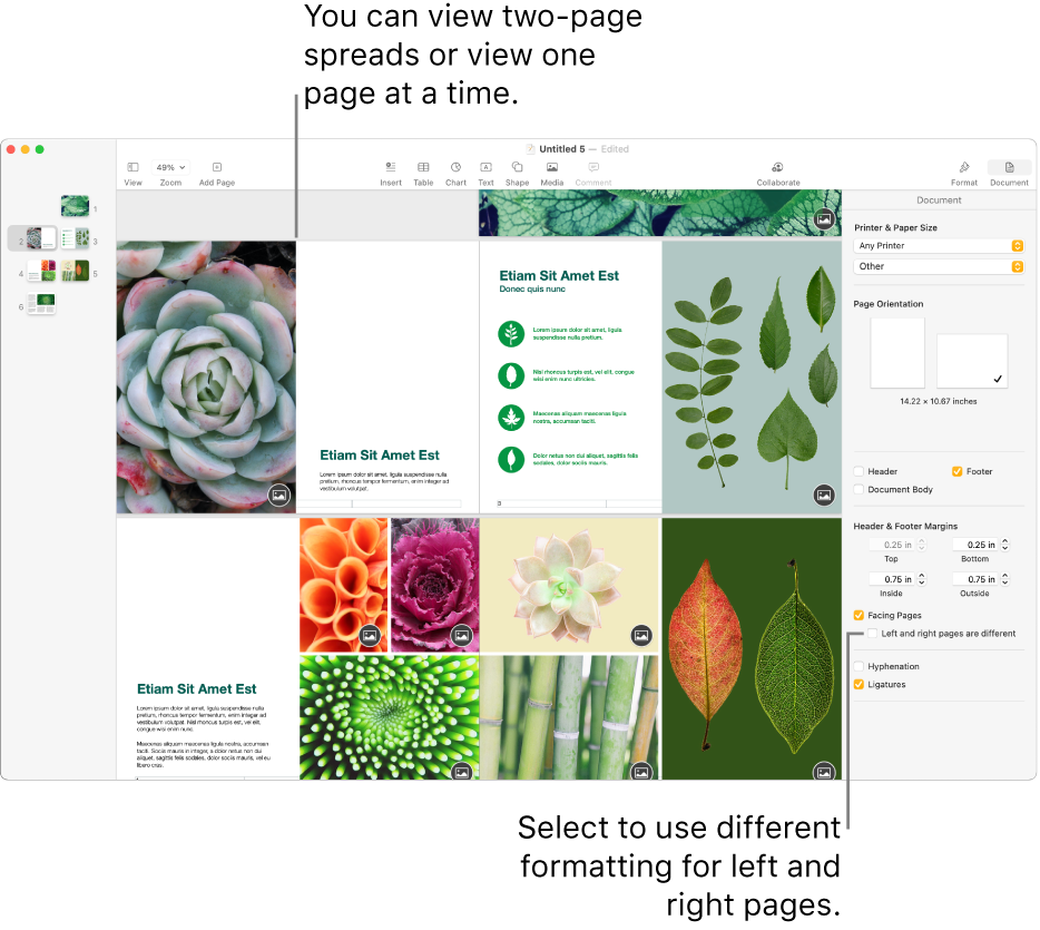 The Pages window with page thumbnails and document pages viewed as two-page spreads. In the Document sidebar on the right, the “Left and right pages are different” checkbox is unselected.