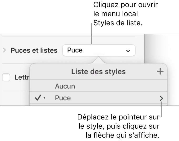 Le menu local Liste des styles avec un style sélectionné et une flèche à sa droite.