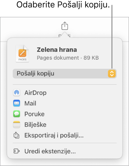 Izbornik dijeljenja s odabranom opcijom Pošalji kopiju pri vrhu.