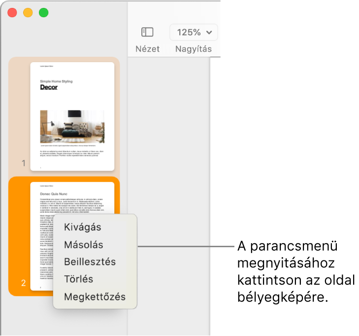 Oldalbélyegképek nézete egy kijelölt bélyegképpel és a megnyitott helyi menüvel.