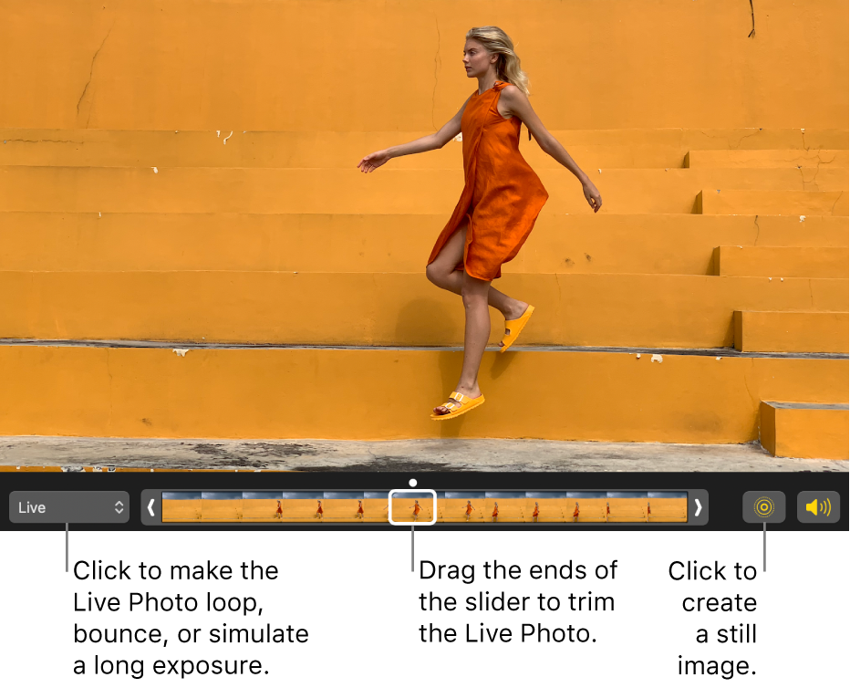 A Live Photo in editing view with a slider beneath it showing the frames of the photo. The Live Photo button and Speaker button are to the left of the slider, and to the right is a pop-up menu you can use to add a loop, bounce, or long exposure effect.