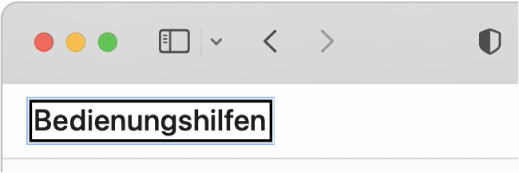 Der VoiceOver-Cursor, ein dunkler rechteckiger Rahmen, der auf dem Wort „Bedienungshilfen“ auf dem Bildschirm fokussiert ist.