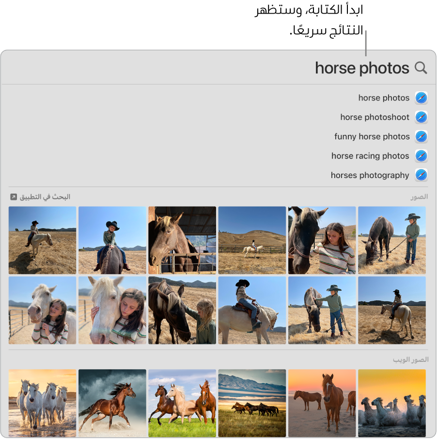 نافذة الباحث تعرض نتائج البحث عن "صور الخيول".