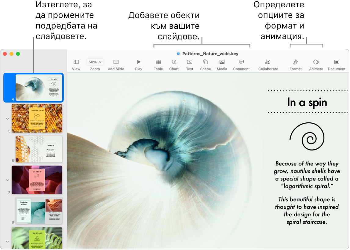 Прозорец на Keynote, показващ навигатора за слайдове вляво с указание как да пренареждате слайдовете, лентата с инструменти с нейните инструменти за редактиране горе, бутона Collaborate (Сътрудничество) горе вдясно и бутоните Format (Форматиране) и Animate (Анимация) вдясно.