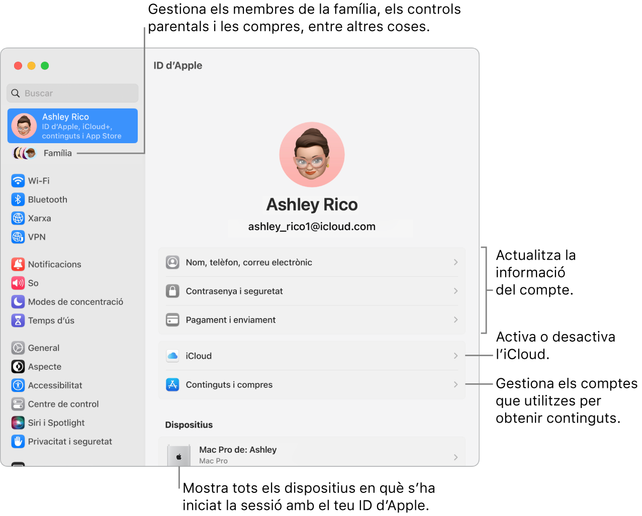 A la configuració del sistema, es veu la secció de l’ID d’Apple, amb opcions per actualitzar la informació del compte, activar o desactivar les funcions de l’iCloud o gestionar els comptes de contingut multimèdia, i la secció “En família”, amb opcions per configurar un grup familiar, establir controls parentals i administrar les compres, entre altres coses.