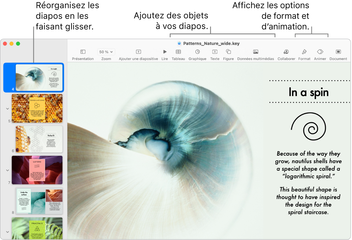 Fenêtre de Keynote affichant le navigateur de diapositives sur la gauche et comment réorganiser les diapositives, la barre d’outils et les outils d’édition en haut, le bouton Collaborer en haut à droite, et les boutons Format et Animer sur la droite.