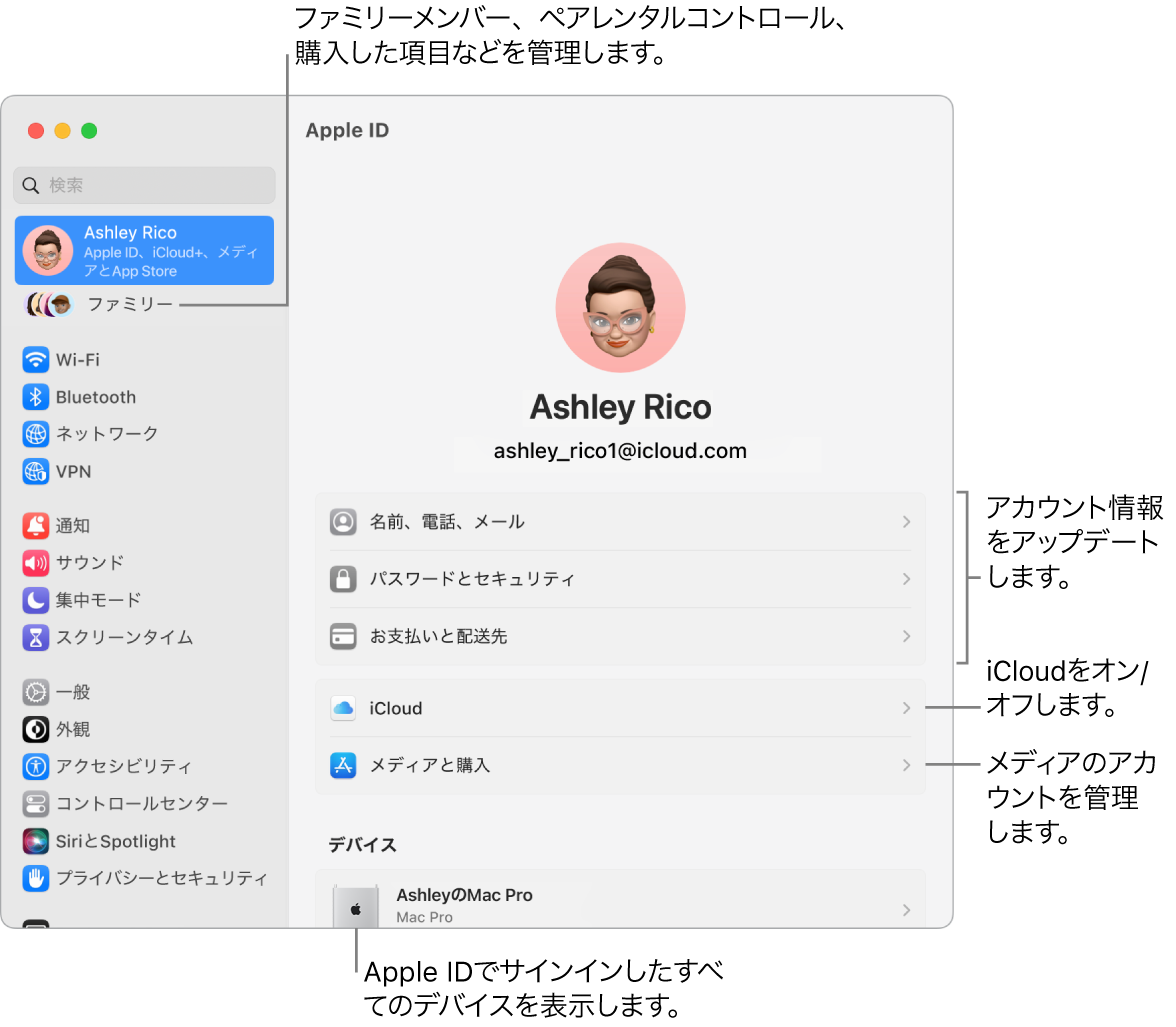 「システム設定」の「Apple ID」パネル。アカウント情報のアップデート、iCloud機能のオン/オフ、メディアアカウントの管理と、ファミリーメンバー、ペアレンタルコントロール、購入などを管理できる「ファミリー」へのコールアウトがあります。