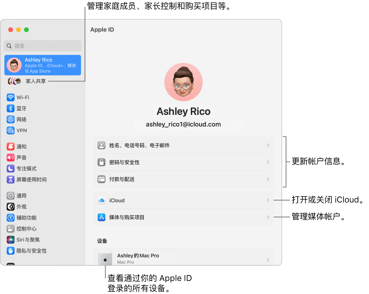 “系统设置”中的 Apple ID 面板，包含更新帐户信息、打开或关闭 iCloud 功能、管理媒体帐户和“家人共享”（可在其中管理家庭成员、家长控制和购买项目等等）的标注。