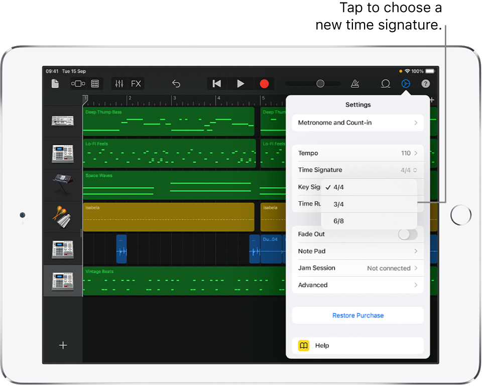 Song settings, including time signature controls