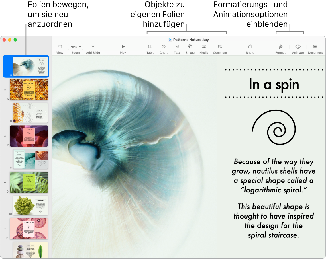 Ein Keynote-Fenster mit dem Foliennavigator links und Informationen zum Neuanordnen von Folien, der Symbolleiste und den Bearbeitungswerkzeugen oben, der Taste „Zusammenarbeiten“ oben rechts und den Tasten „Format“ und „Animieren“ rechts.