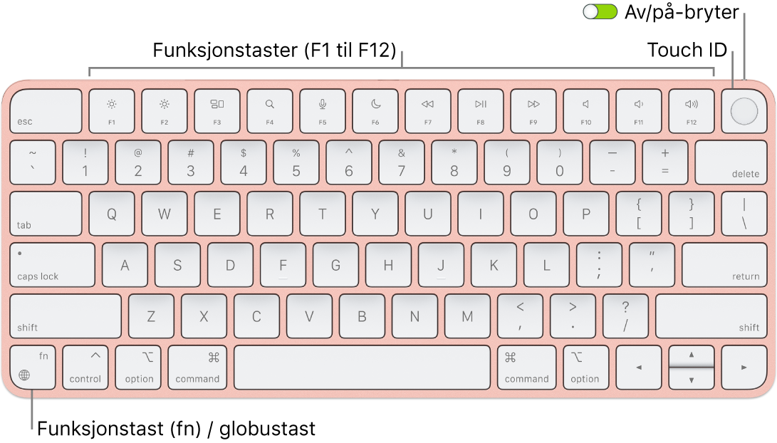 Magic Keyboard med Touch ID, som viser raden med funksjonstaster og Touch ID øverst og funksjonstasten (Fn) / globustasten nede til venstre.