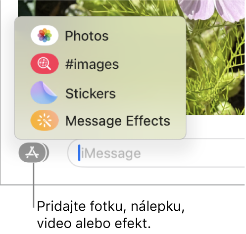 Menu Apky s možnosťami zobrazenia fotiek, nálepiek, GIF obrázkov a efektov správ.