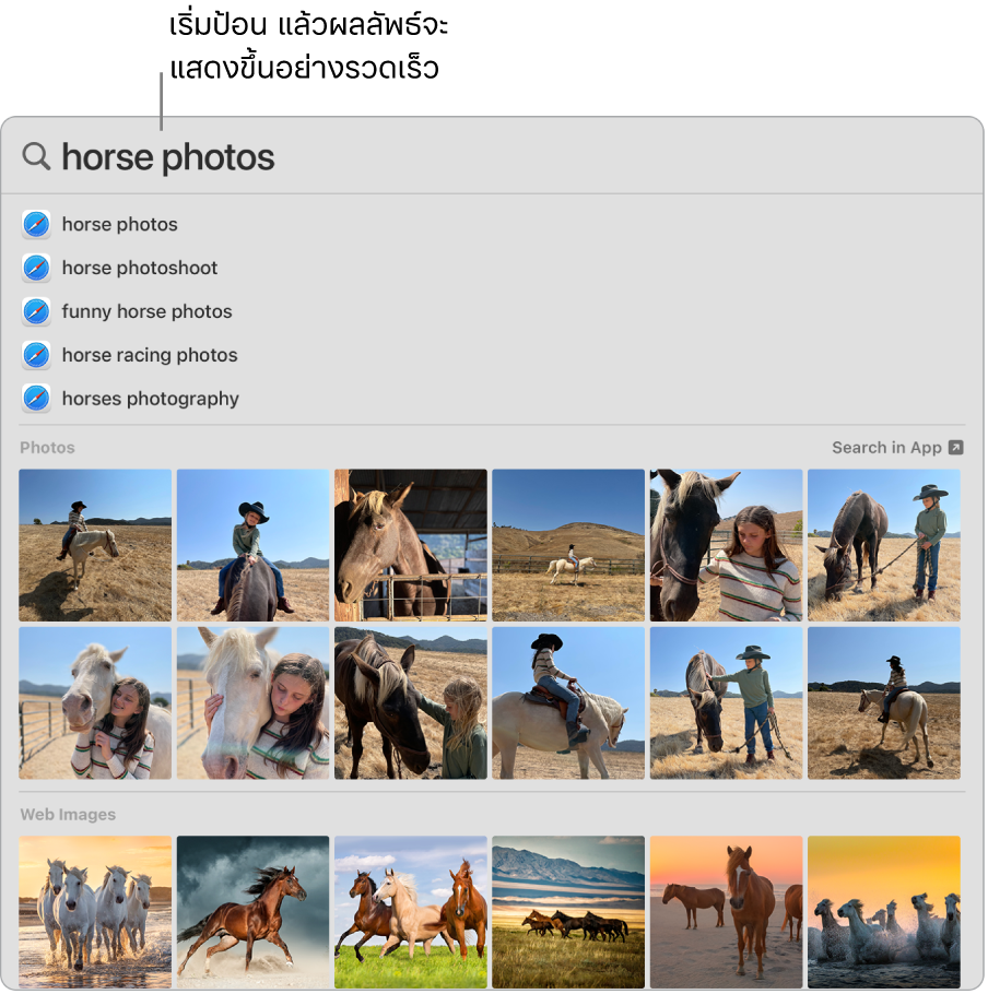 หน้าต่าง Spotlight ที่แสดงผลการค้นหาสำหรับ “รูปม้า”