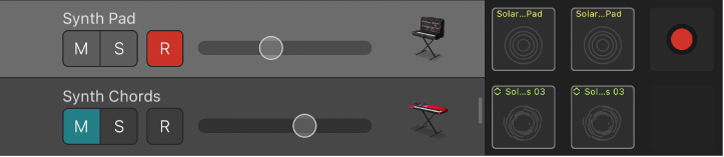 Figure. Track header, showing Mute, Solo, Record, and Volume controls and track icon.