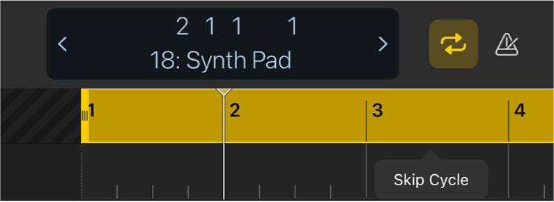 Figure. Showing the Skip Cycle menu option above the yellow cycle area.