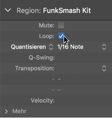 Abbildung. Feld „Loop“ im Informationsfenster „Region“