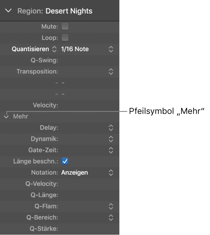 Abbildung. Informationsfenster „Region“ mit erweiterten Parametern.