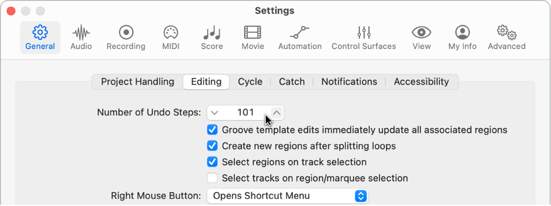 Figure. “Number of Undo Steps” field in the Editing pane in the General settings.