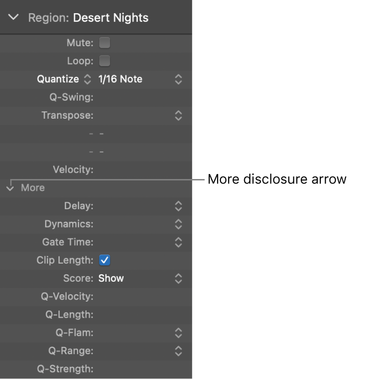 Figure. Region inspector with advanced parameters.