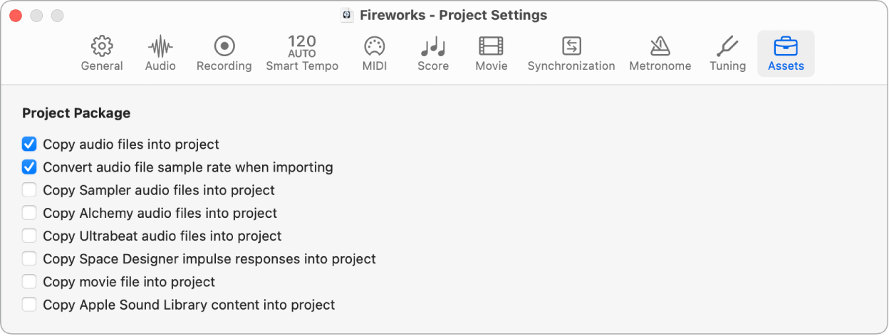 Figure. Assets project settings.