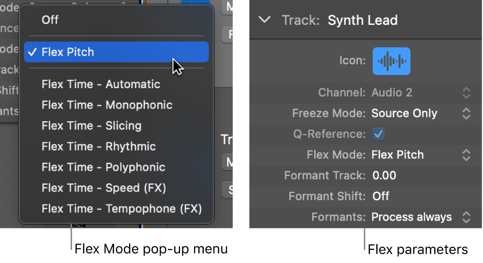 Figure. Track inspector showing Flex algorithms and parameters.