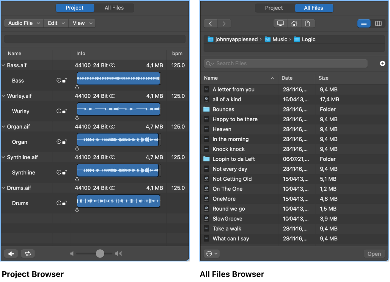 Figure. Project Audio Browser and All Files Browser.