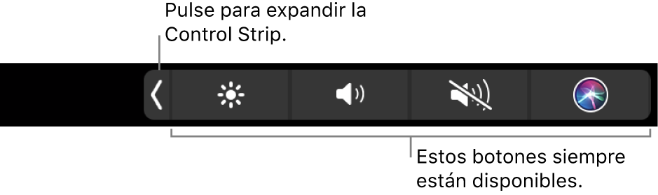 Ilustración. Control Strip de la Touch Bar.