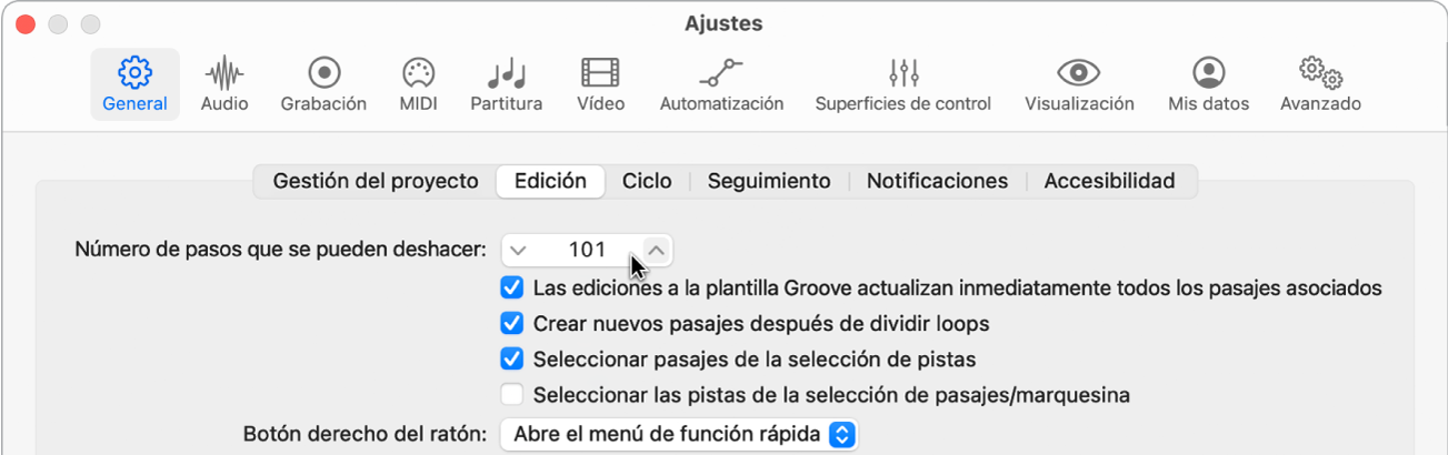 Ilustración. Campo “Número de pasos que se pueden deshacer” del panel Edición de los ajustes generales.