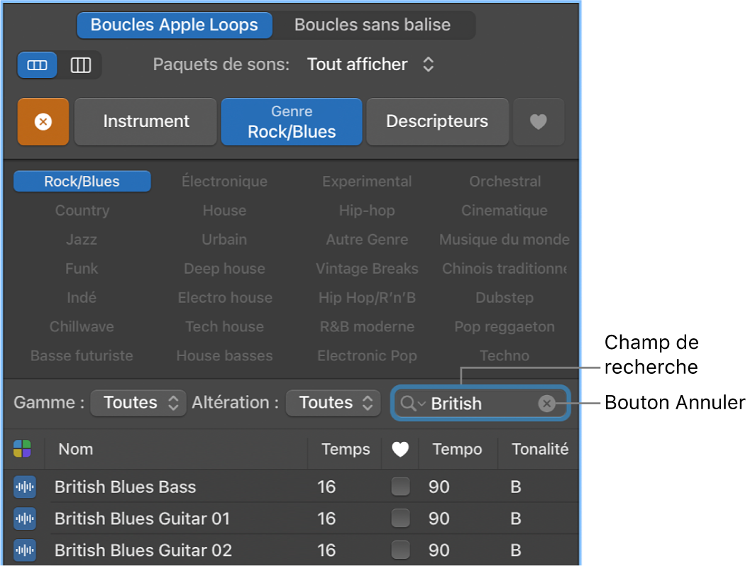 Champ de recherche et bouton Annuler dans le navigateur de boucles.