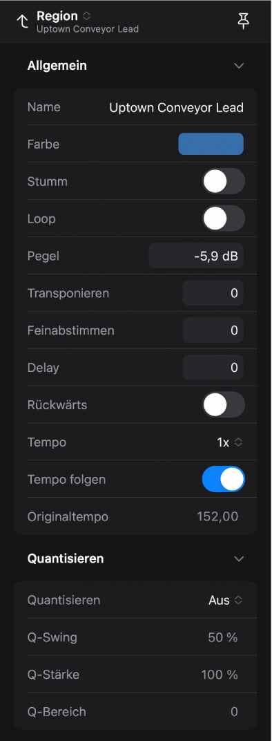 Das geöffnete Informationsfenster mit Regionsparametern.