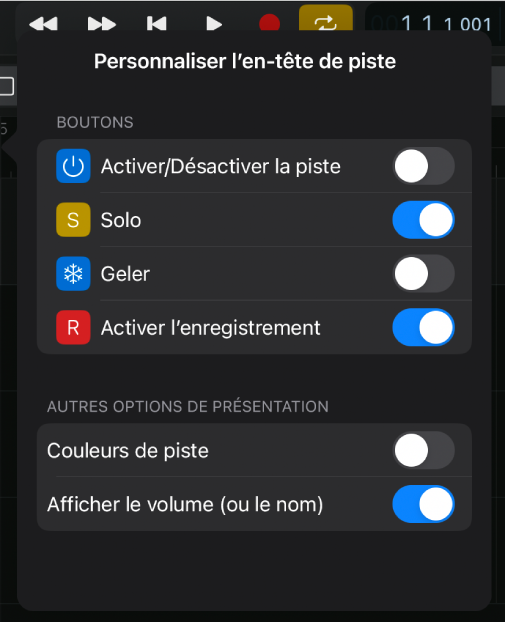 Figure. Fenêtre « Personnaliser l'en-tête de piste » montrant les boutons disponibles et d’autres options d’affichage.