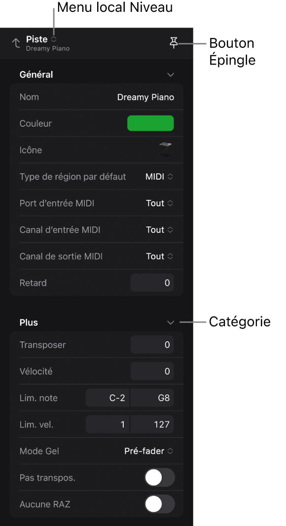 Figure. Inspecteur montrant les paramètres de piste, le menu local Niveau et le bouton Épingler.